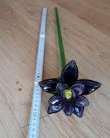 Glaskunst violette Glasblume 50 cm lang Baden-Württemberg - Weinstadt Vorschau