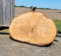 XL ♧♧  Eiche Baumscheiben Tischplatte Esstisch Holz massiv Couch Schleswig-Holstein - Groß Wittensee Vorschau