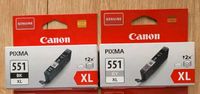 Original Canon PIXMA 551 XL Patronen BK/GY NEU Sachsen - Freital Vorschau