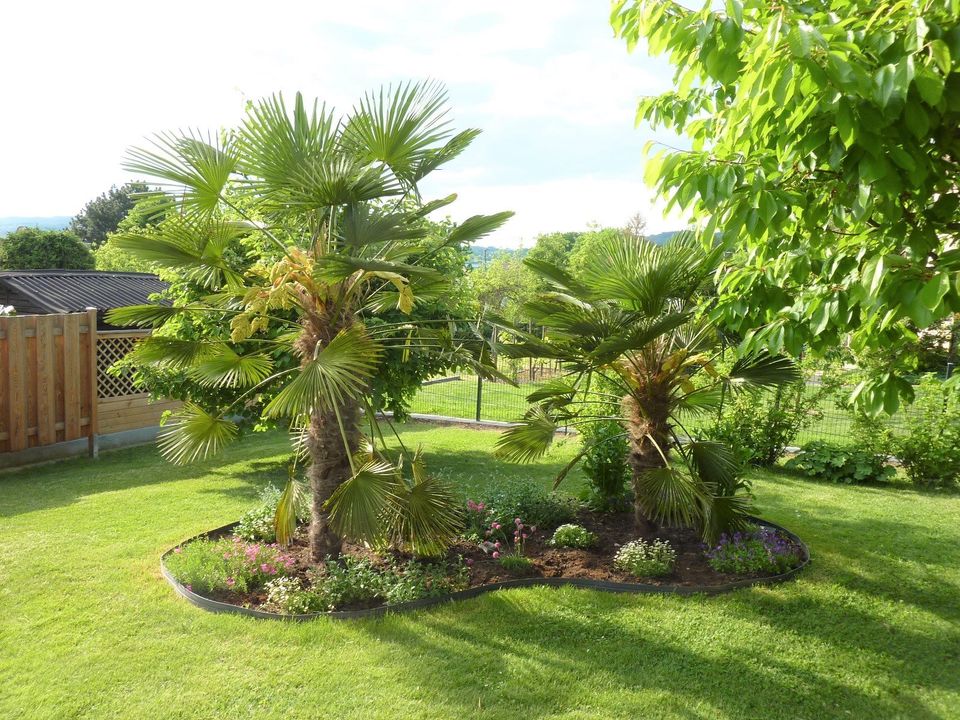 Ferienwohnung mit Terrasse Nähe Bodensee in Salem