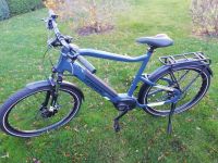 Haibike Trekking 5 blue/canary *Boschantrieb Sachsen-Anhalt - Wernigerode Vorschau