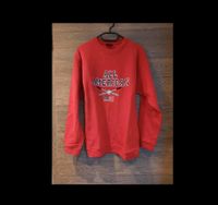 Pullover hoodie Pulli Sweatshirt Shirt sweater warm 164 S M 42 44 Sachsen - Mülsen Vorschau