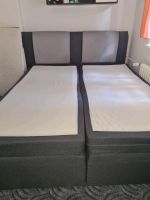 Boxspringbett in grau 180×200 Berlin - Biesdorf Vorschau