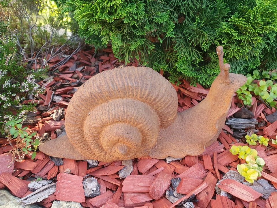 Figur Schnecke Rost Teich Haus Garten Eisen XL NEU in Bissendorf