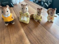 Sylvanian Families Eichhörnchen Familie Walnuss Squirrel 4172 Düsseldorf - Angermund Vorschau