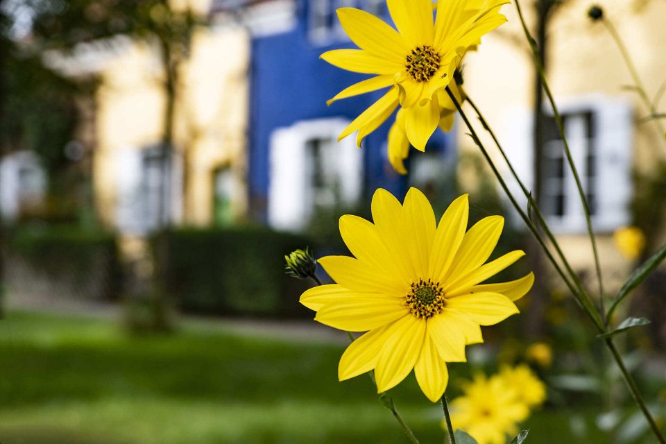 Bauen im Grünen: Ihr Baugrundstück für Wohnträume inmitten von Bohnsdorfs Natur in Berlin