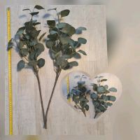Große Dekozweige Eukalyptus Sachsen - Wurzen Vorschau