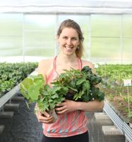 Bio Tomaten-, Gemüsepflanzen und Blumen - Biogärtnerei Blütenherz Bayern - Landau a d Isar Vorschau