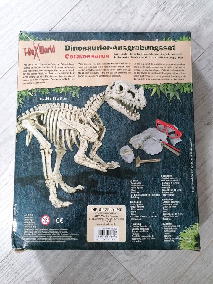 Dino Ausgrabungsset in Selm