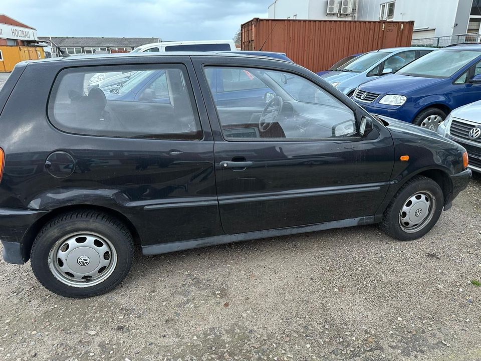 Vw Polo 1996 in Flensburg