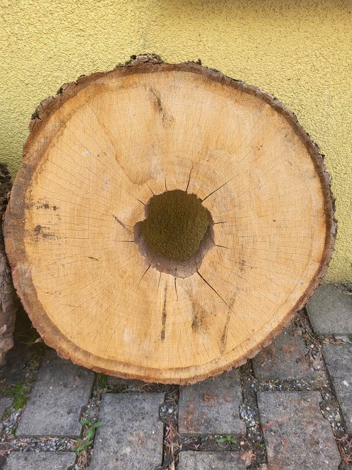 3x Eiche Baumscheibe mit Loch Naturbelassen Baumscheibe Hartholz in Hausen bei Würzburg
