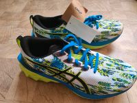 Asics Novablast 2 in Größe 42.5 neu im Karton Baden-Württemberg - Ludwigsburg Vorschau