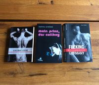 Roman Buch Callboy Steve, Mein Prinz der Callboy, Fucking Germany Niedersachsen - Bodenwerder Vorschau