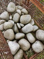 kleine Granit-Findlinge rundlich / Kugel-Findlinge hellgrau Bayern - Burglauer Vorschau