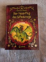 Kinderbuch "Der Feuerflug des Elfenkönigs" Nordrhein-Westfalen - Wassenberg Vorschau