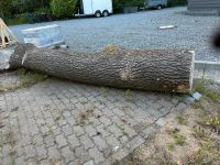 Holz Baum Esche Feuerholz Möbelholz gegen Gebot Schleswig-Holstein - Krummwisch Vorschau