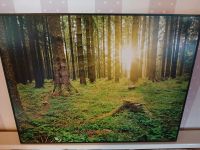 Fotobild auf Leinwand Wald Niedersachsen - Vechelde Vorschau