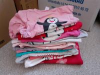 16er Set Mädchen 74/80 Pullover Pulli shirts Hessen - Bruchköbel Vorschau