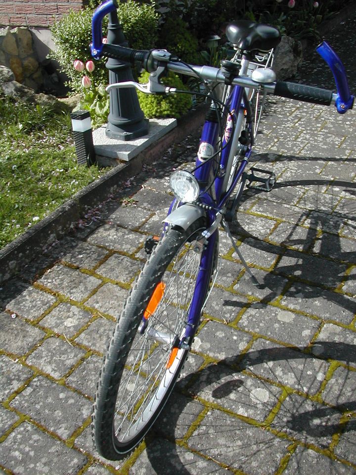 Mädchenfahrrad " Pegasus"  Mountainbike 26 Zoll Shimano 7-Gang in Stadecken-Elsheim