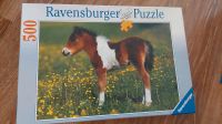 Ravensburger Puzzle Fohlen 500 Teile Bayern - Roth Vorschau