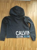 Calvin Klein Hoodie Pullover Sweatshirt Gr. 140 / Gr. 10 Niedersachsen - Barsinghausen Vorschau