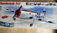 Flugmodell Thunderbolt P 47 VB Nordrhein-Westfalen - Hamm Vorschau