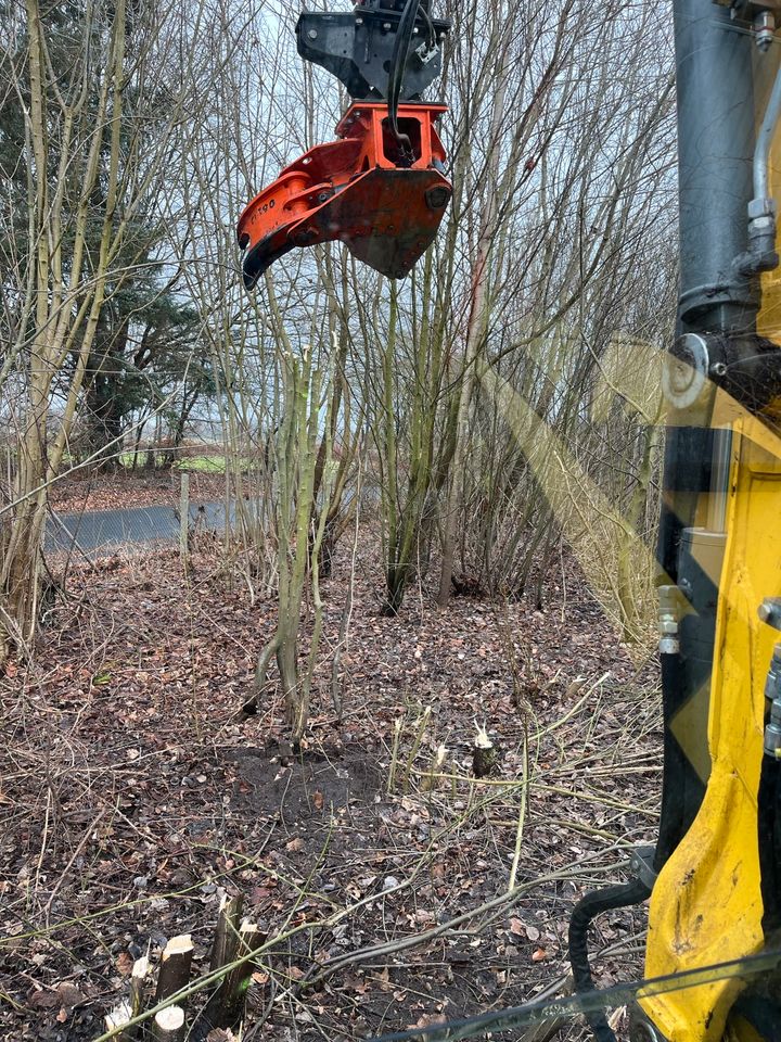 Knickpflege Knicken Fällgreifer Astschere Hecke kneifen in Alt Duvenstedt