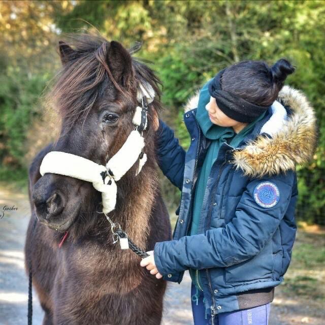 Reitbeteiligung gesucht ( Mensch sucht Pferd) in Buchholz in der Nordheide