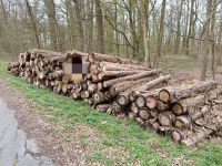 Pappel Stammholz inkl. Lieferung Nordrhein-Westfalen - Paderborn Vorschau