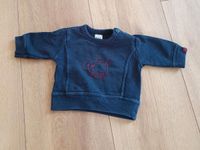 H&M Baby Pullover Hund Größe 62 blau Bayern - Herzogenaurach Vorschau