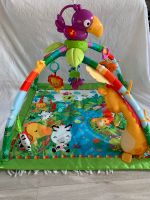 Spielbogen Spieldecke Rainforest von Fisher Price Rheinland-Pfalz - Albig Vorschau