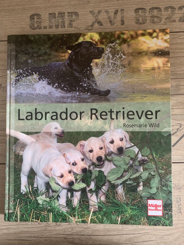 Buch - Labrador Retriever in Lindau