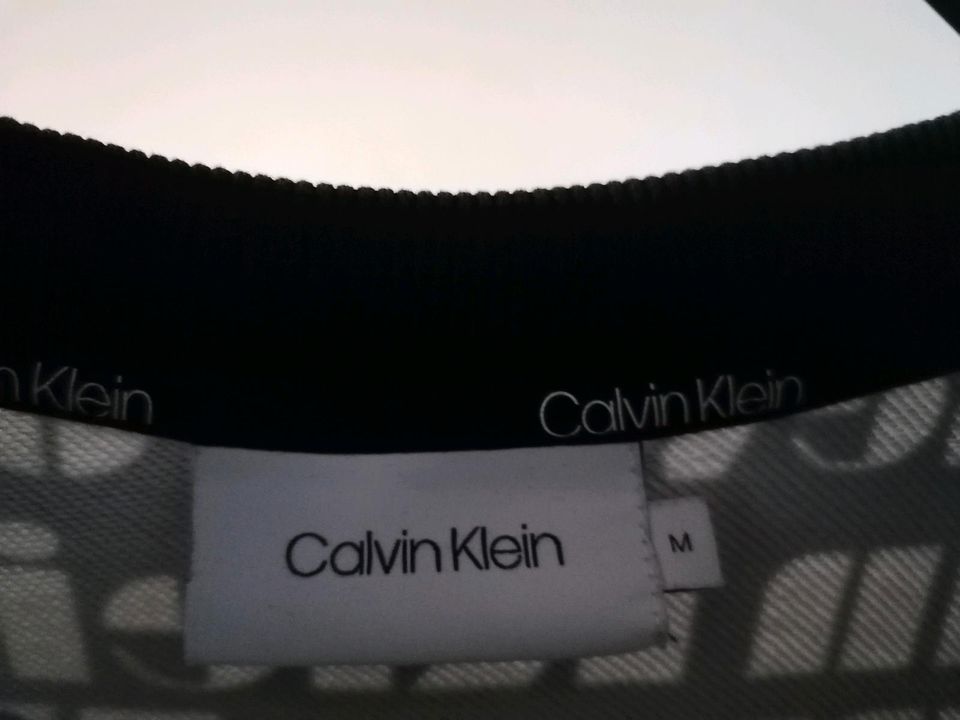 Calvin Klein Sweater Gr. M in Pfaffenhofen a.d. Ilm