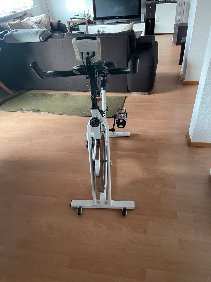 Spinningrad Schwinn Sport in Kirchheim am Neckar