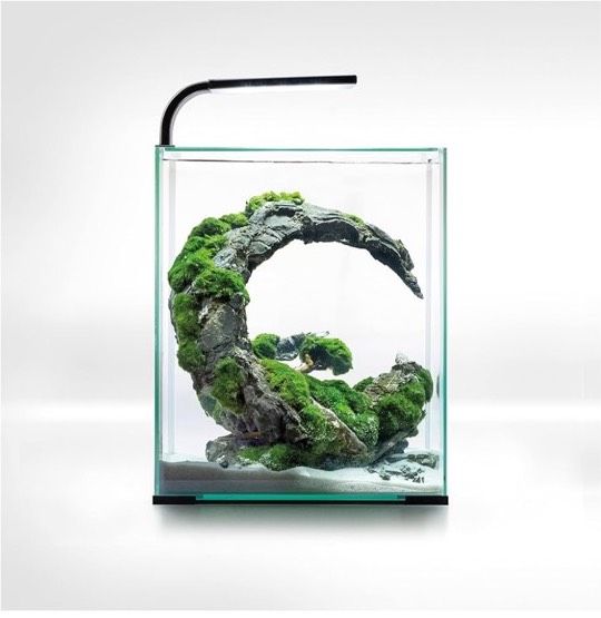 Cube Aquarium 30L in Nierstein