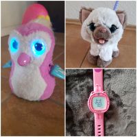 Hasbro Hatchimal+Fur Real Friends Katze + Kidipet Uhr Sachsen-Anhalt - Zerbst (Anhalt) Vorschau