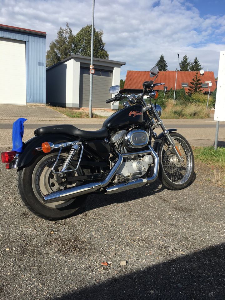 Harley Davidson Sportster 883 Custom Bj. 2000 in Kaiserslautern