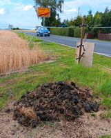 Pferdedung Hessen - Guxhagen Vorschau