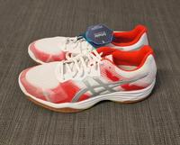 Damen Hallenschuhe Asics Gel Tactic Neu Gr 42 Nordrhein-Westfalen - Warendorf Vorschau