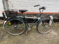 Gazelle Fahrrad Hollandrad Dortmund - Innenstadt-Nord Vorschau