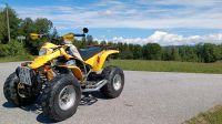 Quad SMC Explorer Stinger ATV CanAm Raptor CF Moto Bayern - Tiefenbach Kr Passau Vorschau