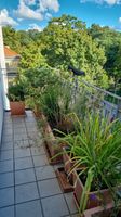 Schöne helle 4,5-Zi-Wohnung am Englischen Garten München - Maxvorstadt Vorschau