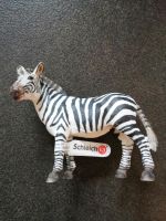 Schleich Zebra NEU Herzogtum Lauenburg - Ratzeburg Vorschau