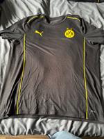 BVB T-Shirt Mecklenburg-Vorpommern - Neubrandenburg Vorschau