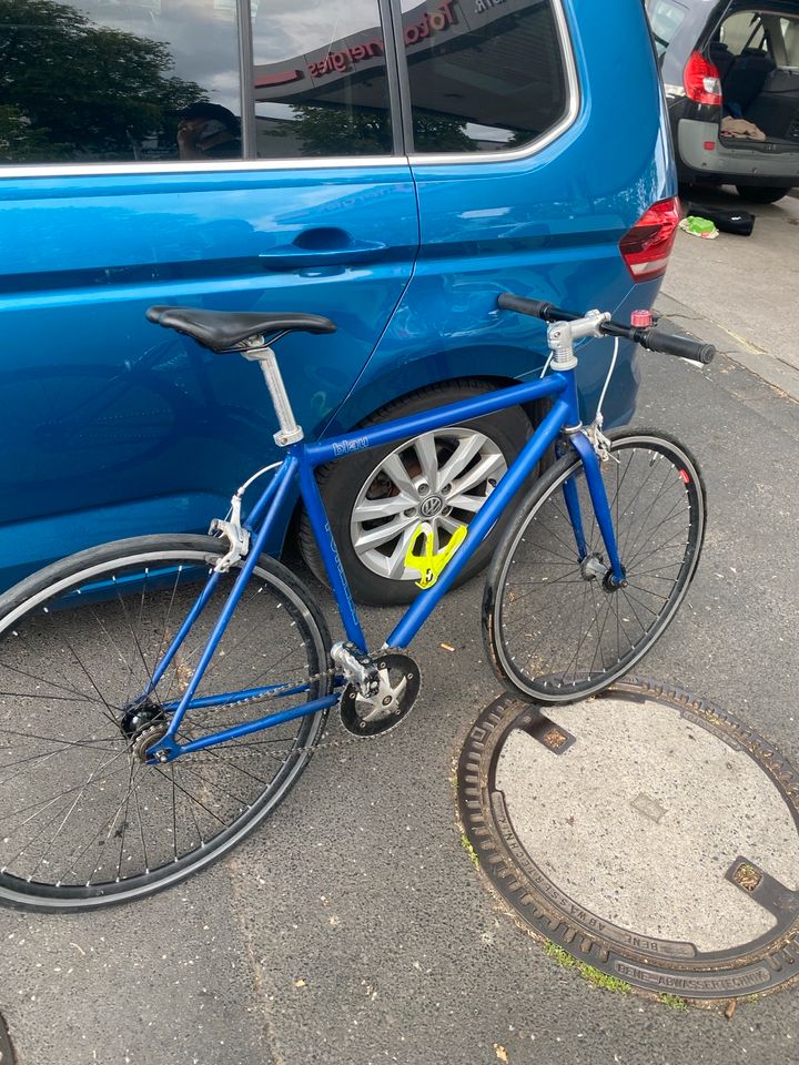 Fahrrad blau Forelle in Frankfurt am Main
