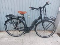 Wittich E-Paula E-Bike NEU Retro-Bike Lastenrad Hollandrad Nordrhein-Westfalen - Warburg Vorschau