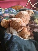 Nici Katze rot liegend 50cm 90er Jahre Plüschtier Kuscheltier Baden-Württemberg - Meersburg Vorschau