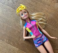 Barbie Mattel FBD63, Magie der Delfine Barbie Niedersachsen - Sehnde Vorschau