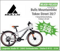 Bulls Tokee Street Grau 20 Zoll 7 Gang Kinderfahrrad Mountainbike Niedersachsen - Ostrhauderfehn Vorschau
