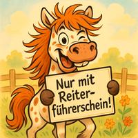 Westernpony mit Charakter sucht Reitbeteiligung Bayern - Mitwitz Vorschau